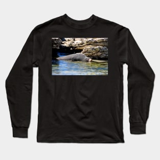 Phoque faisant la sieste Long Sleeve T-Shirt